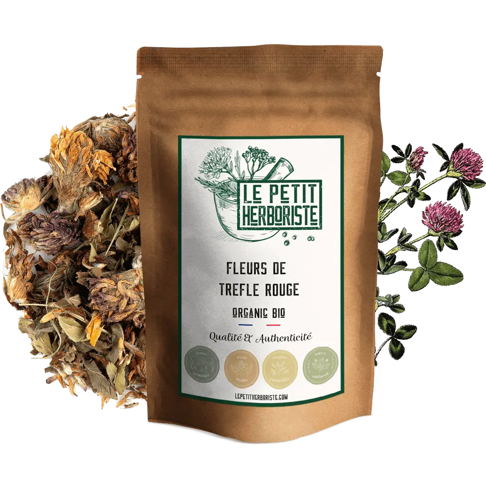 Infusión de trébol rojo